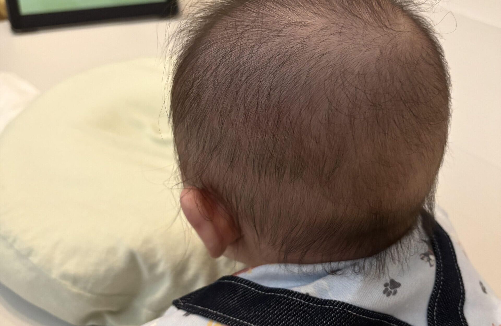 baby-3-to-6-months